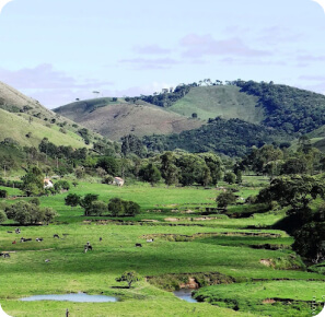 img-campos